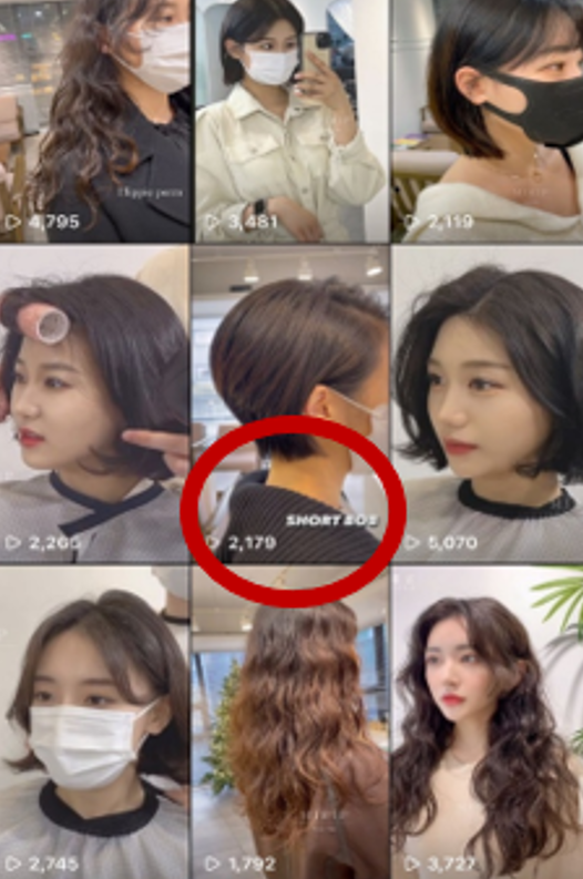 2년전 낮은 조회수